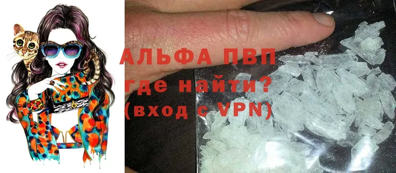 A PVP СК  Опочка 